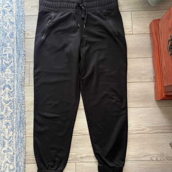 Athleta Trekkie North Jogger Pants Women's Plus Size 24 Travel